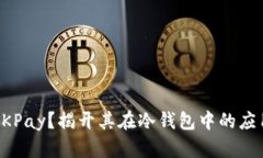 什么是OKPay？揭开其在冷钱包中的应用与功能