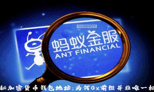 探秘加密货币钱包地址:为何0x前缀并非唯一标识