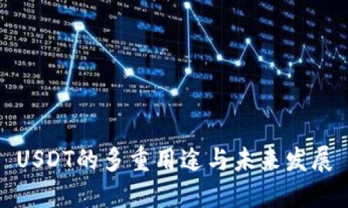 USDT的多重用途与未来发展