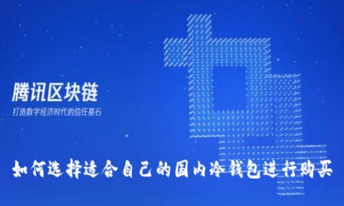 如何选择适合自己的国内冷钱包进行购买