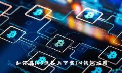 如何在iOS设备上下载IM钱包应用