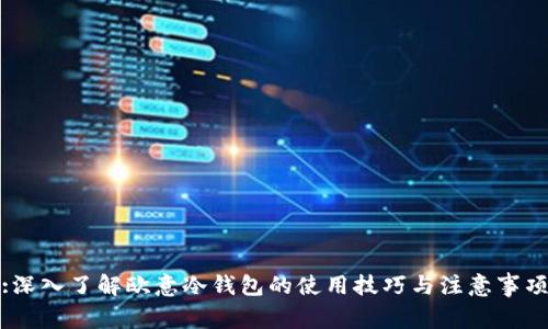 :深入了解欧意冷钱包的使用技巧与注意事项
