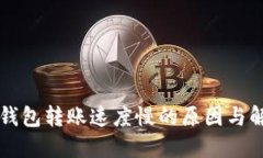 区块链钱包转账速度慢的原因与解决方案