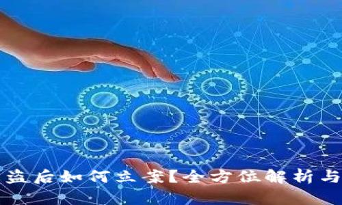 虚拟币钱包被盗后如何立案？全方位解析与最佳应对策略