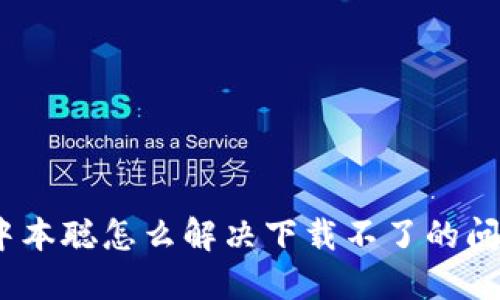 : 中本聪怎么解决下载不了的问题？
