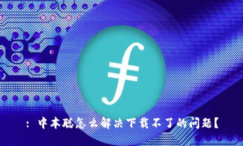 : 中本聪怎么解决下载不了的问题？