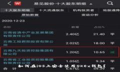  如何在iOS上安全使用OKEx钱包？