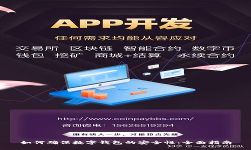 如何确保数字钱包的安全性：全面指南