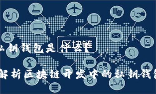 区块链开发私钥钱包是什么？

briaoti全面解析区块链开发中的私钥钱包及其重要性