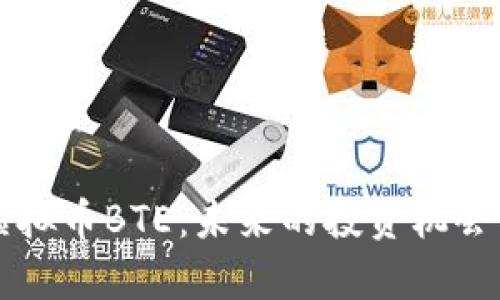 深入探究虚拟币BTE：未来的投资机会与风险分析