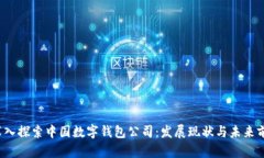  深入探索中国数字钱包公司：发展现状与未来前
