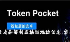 如何查看和解析区块链地址信息：实用指南