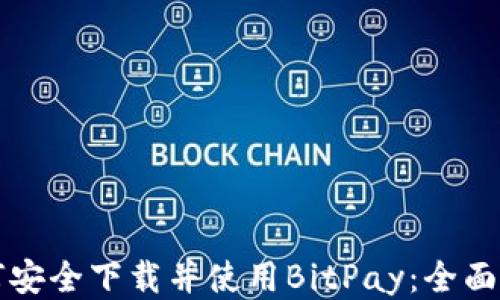 
如何安全下载并使用BitPay：全面指南