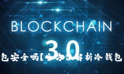 500万放在冷钱包安全吗?全方位解析冷钱包的安全性与风险