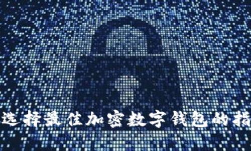 : 选择最佳加密数字钱包的指南