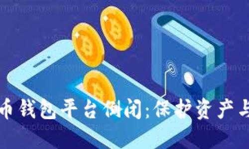 如何应对虚拟币钱包平台倒闭:保护资产与选择替代方案