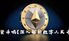 中国能用数字货币吗？深入解析数字人民币的未