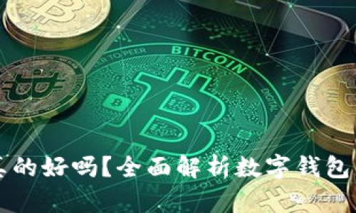 用数字钱包真的好吗？全面解析数字钱包的优势与挑战