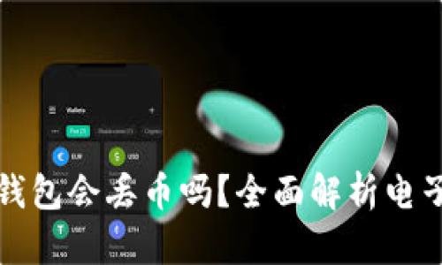 虚拟货币钱包会丢币吗？全面解析电子资产安全