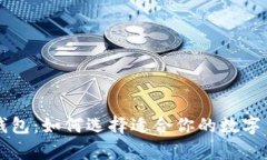 热钱包与冷钱包:如何选择适合你的数字货币储