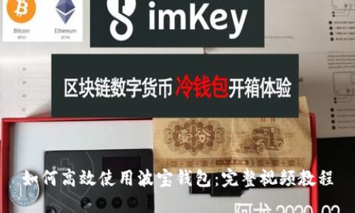 如何高效使用波宝钱包：完整视频教程