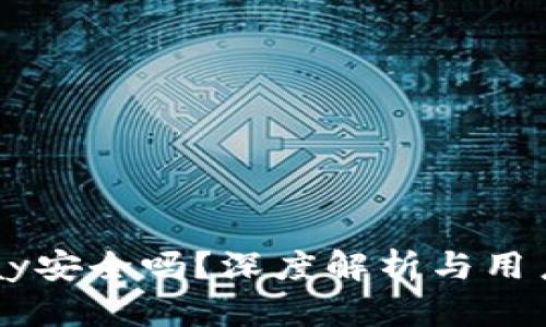 BitPay安全吗？深度解析与用户指南