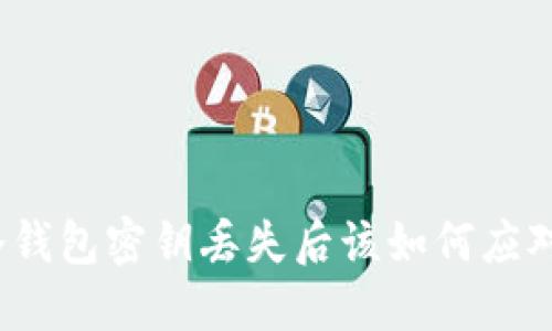 冷钱包密钥丢失后该如何应对？
