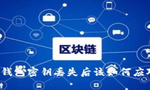 冷钱包密钥丢失后该如何应对？