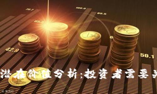 BTCS币未来的潜在价值分析:投资者需要关注的关键因素