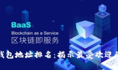 数字货币钱包地址排名:揭示最受欢迎的钱包选