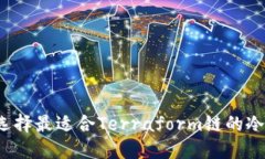 如何选择最适合Terraform链的冷钱包?