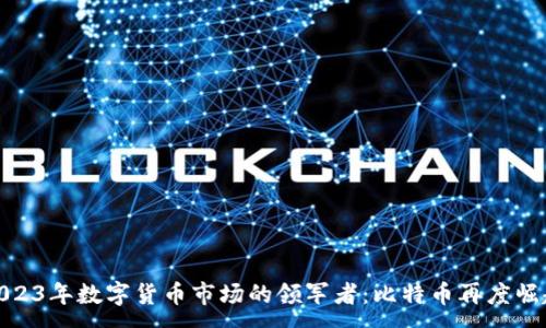 :
2023年数字货币市场的领军者：比特币再度崛起
