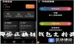全面解析：哪些区块链钱包支持最多的币种？