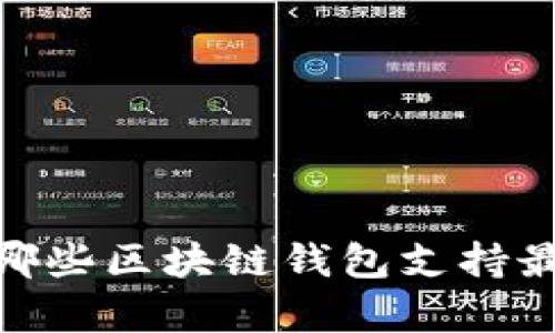 全面解析：哪些区块链钱包支持最多的币种？