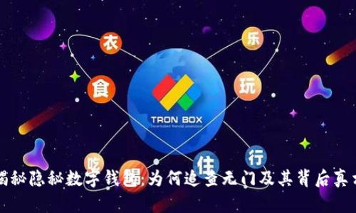 揭秘隐秘数字钱包:为何追查无门及其背后真相