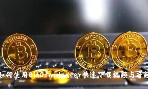 如何使用BitDownloader快速下载视频与音频