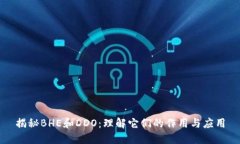 揭秘BHE和DDO：理解它们的作用与应用