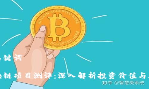 与关键词

区块链项目测评：深入解析投资价值与风险