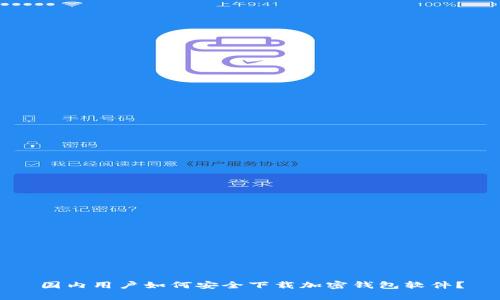 国内用户如何安全下载加密钱包软件?