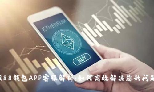 988钱包APP客服解析:如何高效解决您的问题