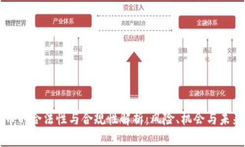 虚拟币的合法性与合规性解析：风险、机会与未来发展