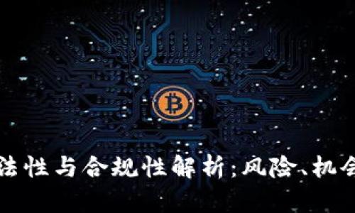 虚拟币的合法性与合规性解析：风险、机会与未来发展