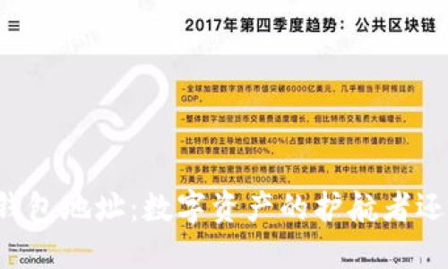 区块链钱包地址：数字资产的护航者还是陷阱？