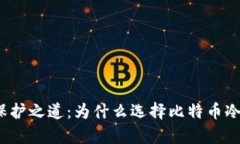 数字财富的保护之道:为什么选择比特币冷钱包