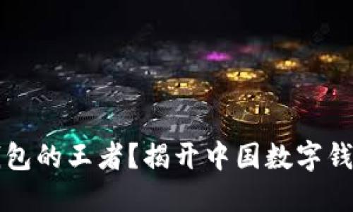 谁才是数字钱包的王者？揭开中国数字钱包的排名之争