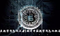 谁才是数字钱包的王者?揭开中国数字钱包的排