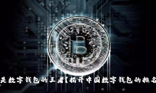 谁才是数字钱包的王者？揭开中国数字钱包的排名之争