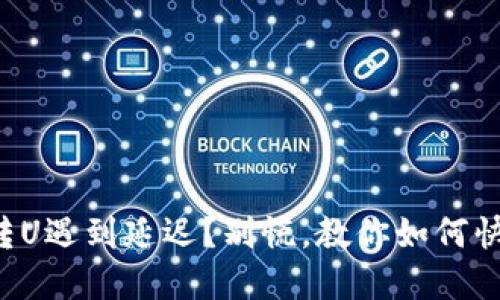 冷钱包转U遇到延迟?别慌,教你如何快速解决!