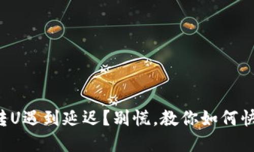 冷钱包转U遇到延迟?别慌,教你如何快速解决!