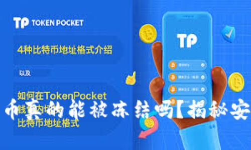 冷钱包的币真的能被冻结吗？揭秘安全与风险